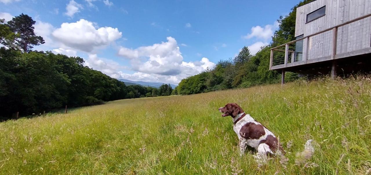 Nire Valley Eco Camp Ballymacarbry Buitenkant foto